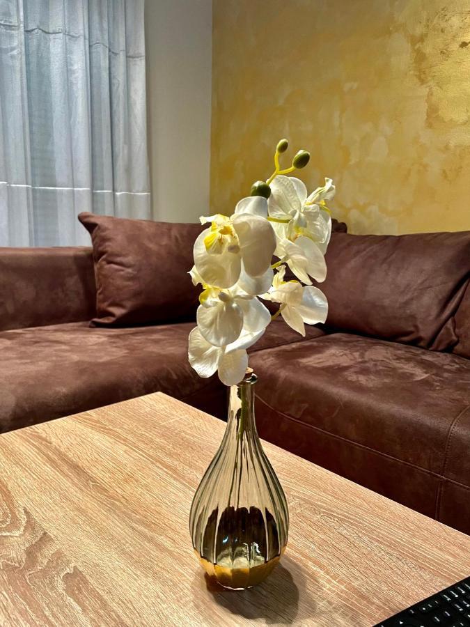 Appartamento Naki Apartman Podgorica Esterno foto